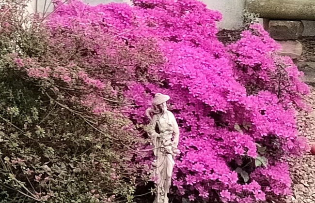 The Cabin Quiet, Relaxing and dog Friendly - Foto 15