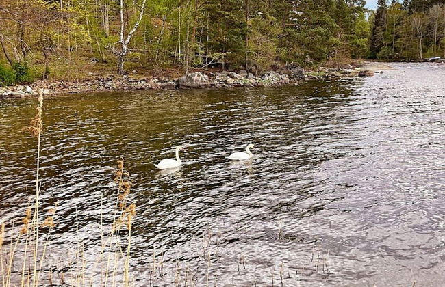 4 Person Holiday Home in Varmdo-by Traum - Photo 21