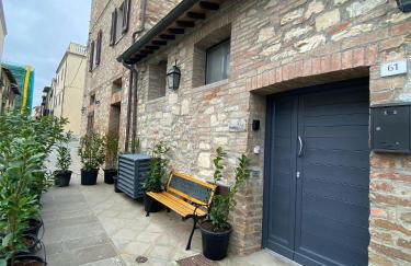 La Gatta sul Tetto - Foto 15