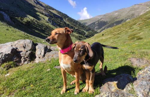 Vall De Nuria Apartamentos - Foto 29