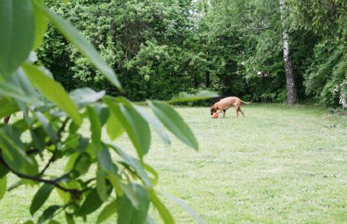 Ferienwohnung Kaim - Foto 13