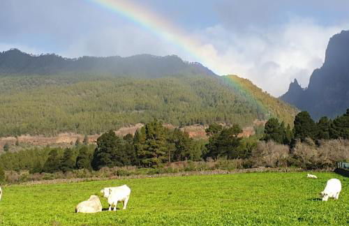Vivienda Casa Abuela - Foto 3