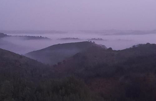 Natur Amêndoa - Photo 18