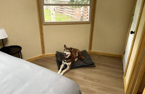 Bristlecone Yurt at Aspen Ridge Cabins - Foto 10