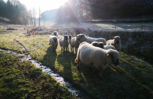 Chalet in Reinskopf With Fireplace and Balcony - Foto 18