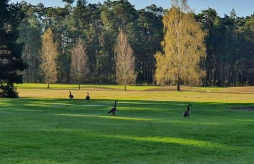 Traumhaftes Reetdachhaus "Grote Eken" in der Lüneburger Heide - Foto 41