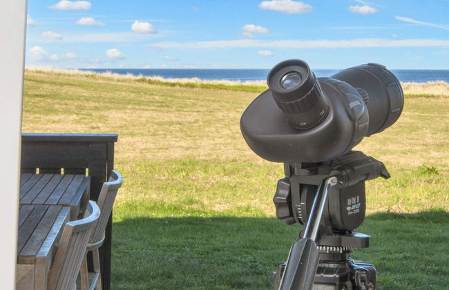 4 Person Holiday Home in Lemvig - Foto 21