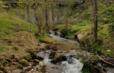 EL VIEJO MOLINO - Foto 49