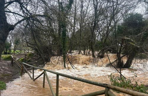 Casa Rural Nacimiento del Hueznar - Tomillo 17 - Foto 41