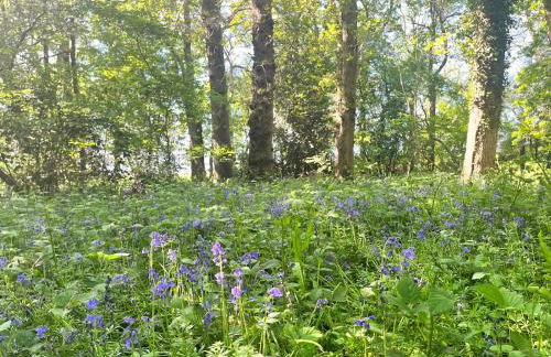 Charming Studio in West Sussex Countryside - Foto 13