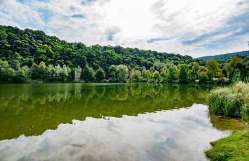 Villa in Seenahe Badesee Ehmetsklinge - Foto 29