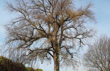 Casa MoSa - Photo 12