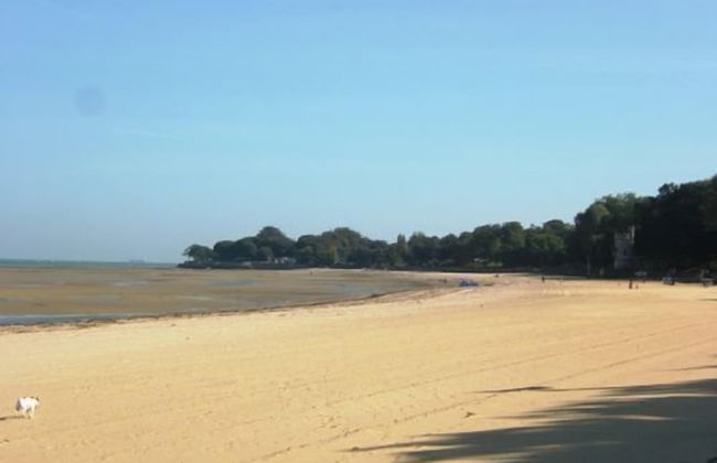 20 Bellevue Road - Foto 23