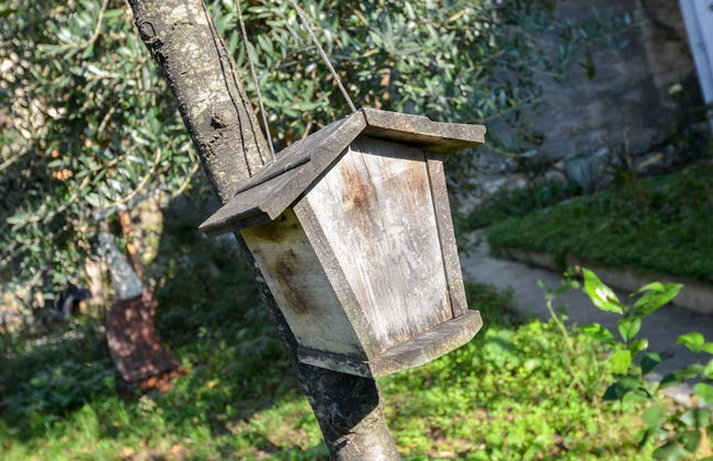 Apartments Tea Kotor - Foto 67