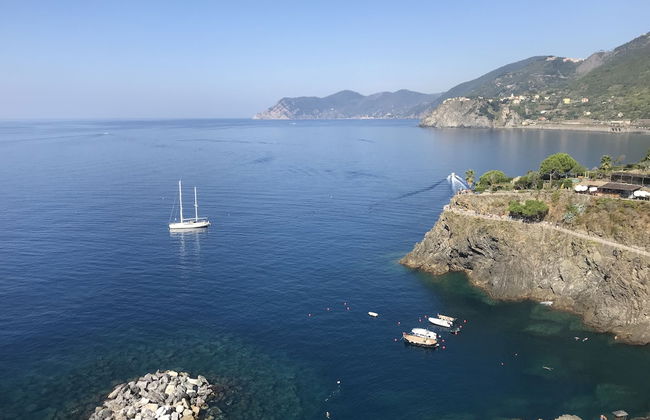 Arpaiu - Odeyo Sas - Foto 25