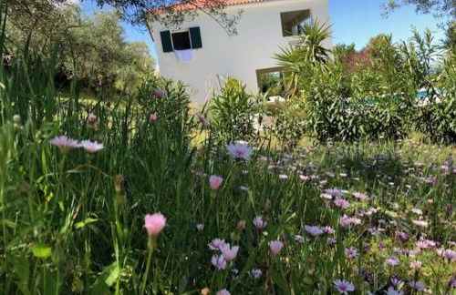 Kyparissia De Wandelboom - Foto 19