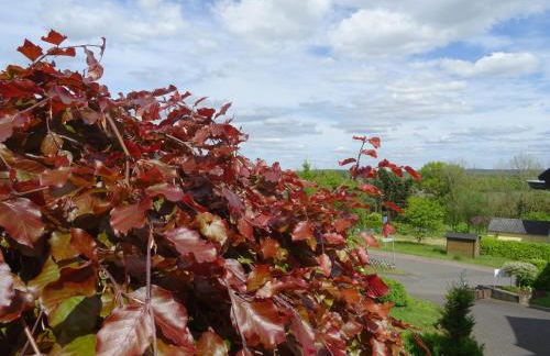 Deine-Eifel-Ferienwohnung - Foto 44