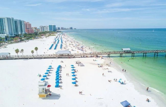 Quiet Spacious Home Close to Clearwater Beaches - Photo 37