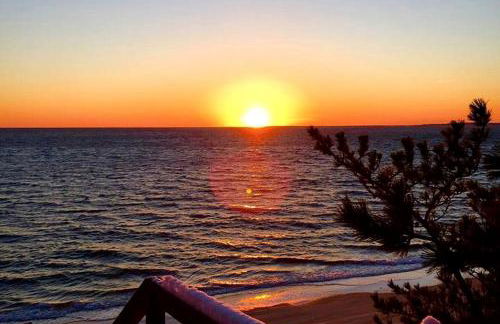 Charming Cottage Rental on a Private Beach in Cape Cod, Massachusetts - Foto 15