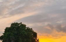 Villa Ange Azur 2 - Foto 41