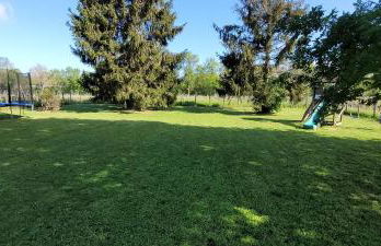 Les fins bois - Foto 19