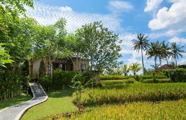 Cahaya Ubud Villa - Foto 70