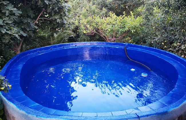 Country House in the Su Gologone Area 30 km From Cala Gonone 5 km From Oliena - Photo 73