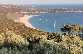 Résidence de Tourisme Mare e Macchia - Foto 39