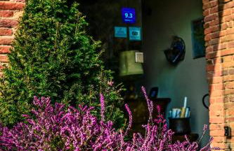 Agriturismo Tenuta Polledro - Photo 18