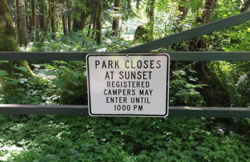 Silver Lake #67 - Foto 43