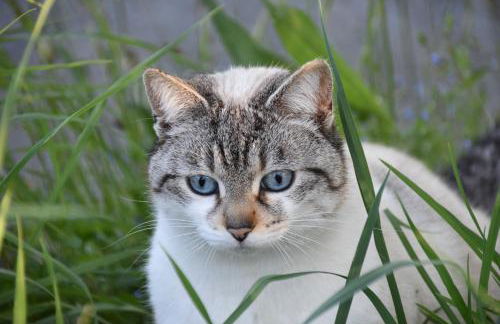 Bauernhof Mairing - Foto 48