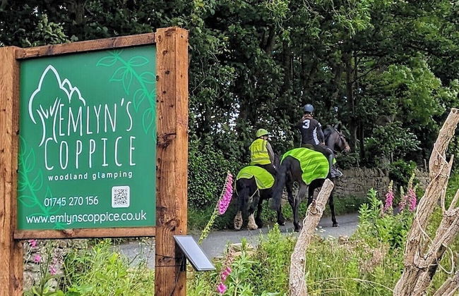 Emlyn's Coppice - Woodland Glamping - Foto 48