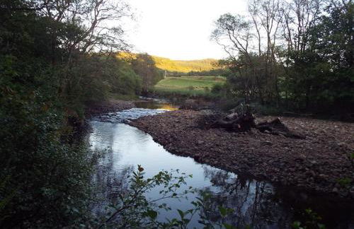The Singing Heart, TirNaNog Cozy Cottage near Lochgilphead !!HIDDEN GEM!! - Foto 50