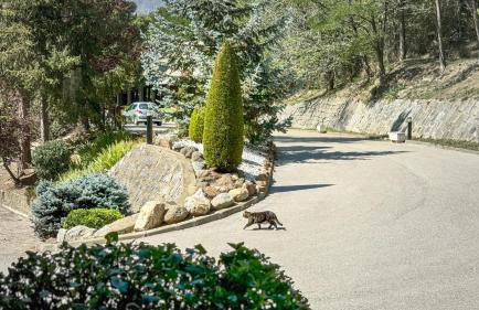 El racó de Montana Park - Foto 19