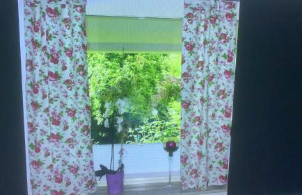 Wiesenblick - Foto 7