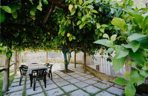 Il Giardino dei limoni - Foto 19