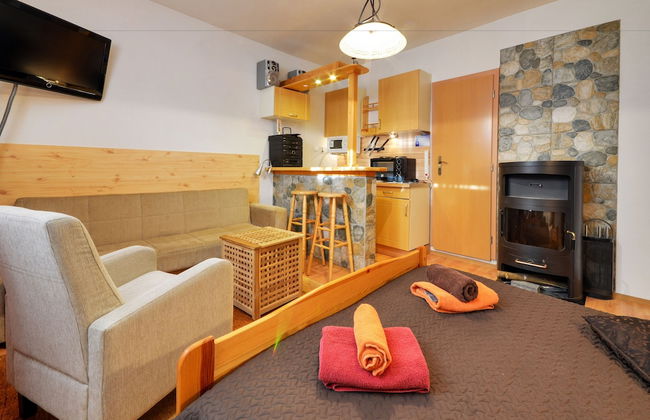 Apart & Wellness Hotel VILLA IVICA - Foto 8