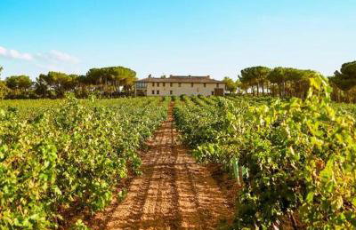 Casa Rural en Bodega. La posada de Vitis - Foto 33