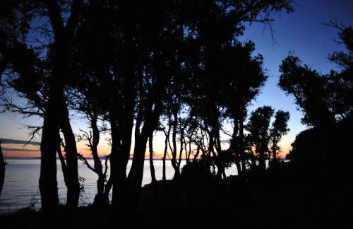 Apartments MULOBEDANJ - Foto 30