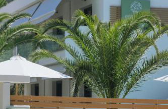 Essentia Vita Comfy Suites - Photo 4