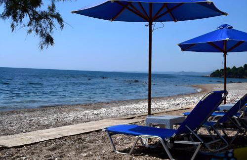 Alexandros Beachfront Apartments near Petalidi with Private Sunbeds & Sea View - Foto 6