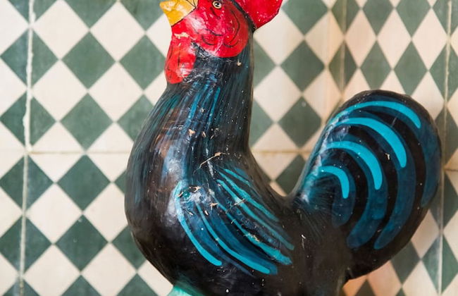 Moinho do Álamo - Foto 55