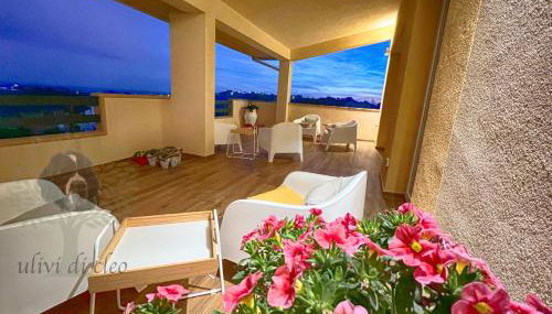 Ulivi di Cleo - Foto 3