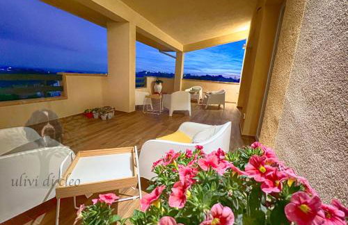 Ulivi di Cleo - Foto 3