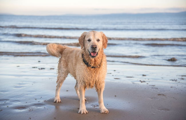 Haus Johanneshorst - Foto 32