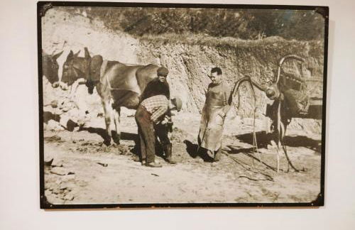 Casa Morgado by NaturAlegre - Foto 53