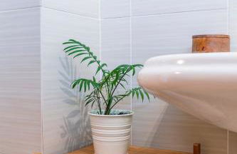 El Nido del Pirineo Estilo y Calidez en Villanúa - Foto 10