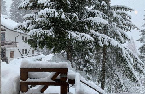 Lacasinapungitopo - Photo 25