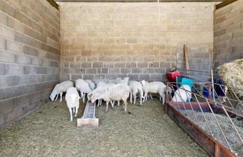 Mas Cal Gintó - Foto 30