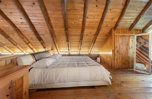 The Bears Nest - Foto 24